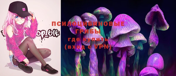 прущий лед Армянск